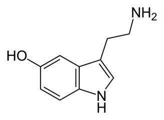 Serotonin Sendromu Belirtileri ve Tedavisi