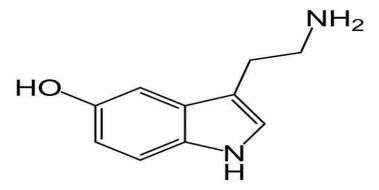 Mutluluk Hormonu Serotonin