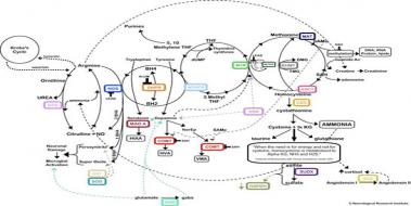Serotonin Eksikliği, Belirtileri ve Tedavisi Serotonin Eksikliği
