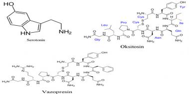 Serotonin Hormonu Nedir Serotonin Hormonu Nedir