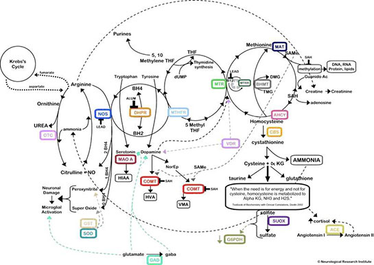 Serotonin Eksikliği Belirtileri ve Tedavisi